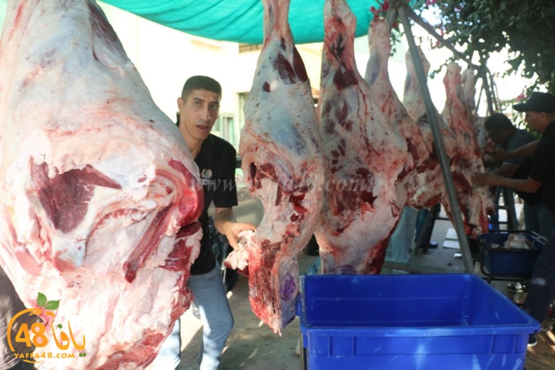 lod8om ada73y (78).JPG